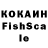 ТГК концентрат Kokacat