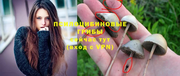 спайс Алексин